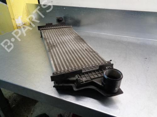 Intercooler MERCEDES-BENZ M-CLASS (W164) ML 320 CDI 4-matic (164.122) | BP8915418M30 