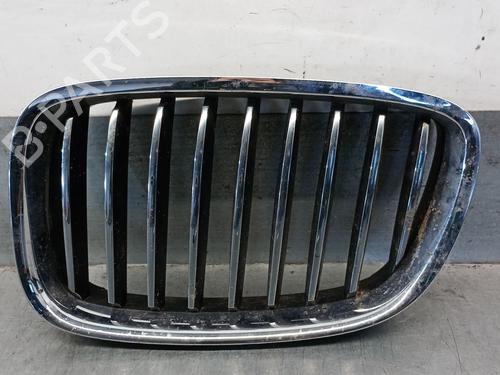 Used Grille BMW 5 Gran Turismo (F07) 530 d (245 hp) 25246034
