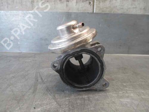 Egr SEAT IBIZA III (6L1)  | BP6587289M69 