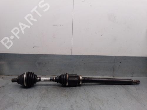 BP31951531M39 main image