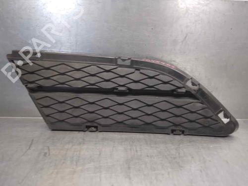 Grille BMW 3 (E90) 320 d | BP11117624C40 