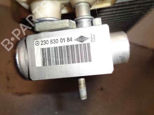 Air conditioning evaporator MERCEDES-BENZ S-CLASS Coupe (C215) CL 500 (215.375) | BP11668267M109 