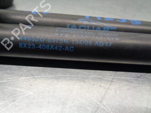 Tailgate lift support JAGUAR XF I (X250) 2.7 D | BP20260979C138 