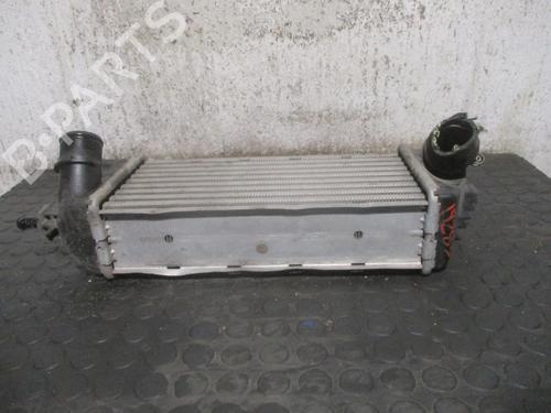 Intercooler FIAT 500 (312_)  | BP8623725M30 