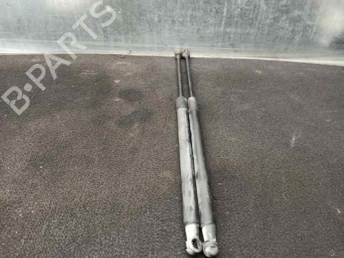 Tailgate lift support SKODA FABIA II (542) 1.2 12V | BP20257868C138 
