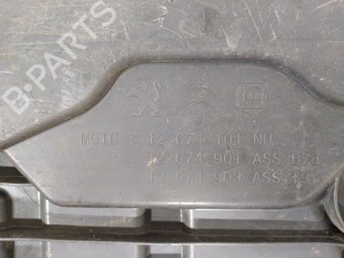 Fuel tank PEUGEOT 308 II (LB_, LP_, LW_, LH_, L3_) 1.6 BlueHDi 120 | BP24926986C62 