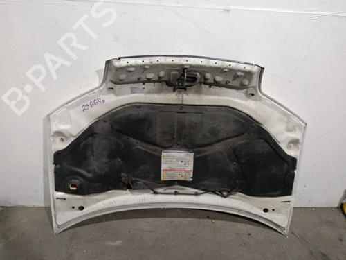 Hood FIAT PUNTO (188_) 1.3 JTD 16V | BP29305721C1 