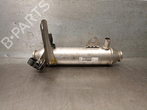 Egr FIAT BRAVO II (198_) 1.9 D Multijet (198AXB1A) | BP29421771M69 