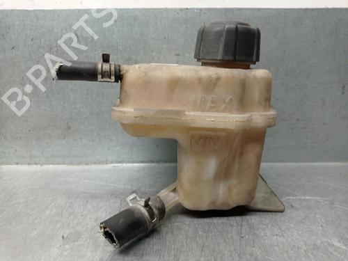 Used Expansion tank NISSAN QASHQAI I (J10, NJ10) 2.0 dCi (150 hp) 29030418