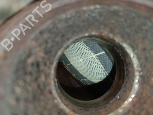 Catalyst RENAULT CLIO IV (BH_) 1.5 dCi 90 | BP29814571M10 