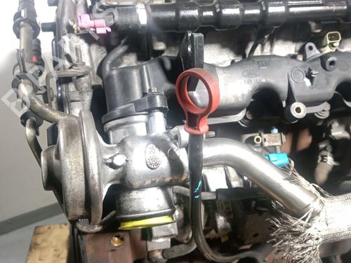 Engine JAGUAR X-TYPE I (X400) 2.0 D | BP34559688M1  - Image 7