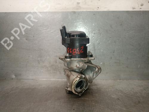 EGR-Ventil PEUGEOT BIPPER (AA_) [2008-2025]  30007182