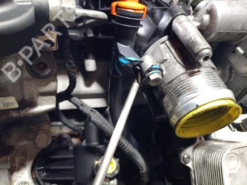 Engine VW TIGUAN (5N_) 2.0 TDI 4motion | BP40035954M1 - Image 14