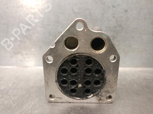 Egr RENAULT GRAND SCÉNIC II (JM0/1_) 1.5 dCi (JM1E) | BP31049516M69