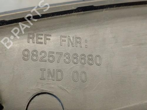 Front right wheel arch trim PEUGEOT 2008 II (UD_, US_, UY_, UJ_, UR_, UC_) 1.2 PureTech 100 (USHNK) | BP29613879C135 