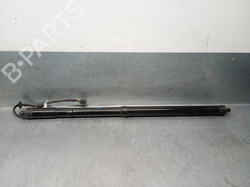 Tailgate lift support LAND ROVER RANGE ROVER SPORT I (L320) 3.0 D 4x4 | BP28337283C138 