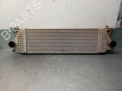 Intercooler SUZUKI GRAND VITARA II (JT, TE, TD) 1.9 DDiS (JB419WD, JB419XD) (129 hp) 31719077