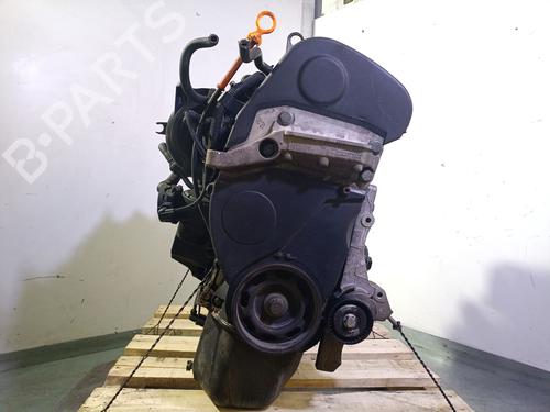 Motor SEAT IBIZA III (6L1) 1.4 16V (75 hp) 27889653