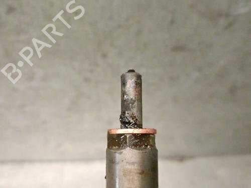 Injector CITROËN C4 Grand Picasso I (UA_) 2.0 HDi 138 | BP30686778M100