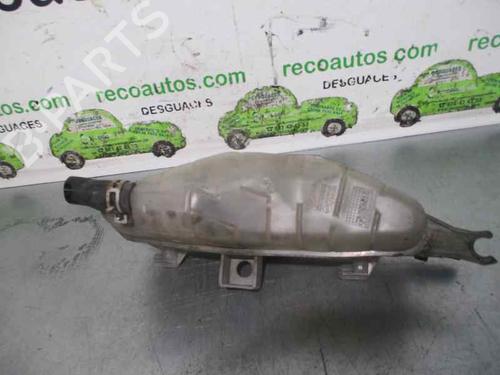 Expansion tank RENAULT CLIO III (BR0/1, CR0/1) 1.4 16V | BP2096591C120 