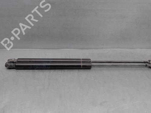 Tailgate lift support DODGE JOURNEY 2.0 CRD | BP18642988C138 