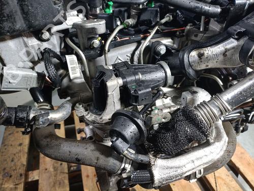 Engine FORD FOCUS III Turnier 1.6 TDCi | BP31888689M1 