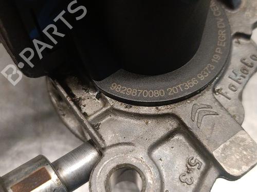 Egr CITROËN BERLINGO (ER_, EC_) 1.5 BlueHDi 100 | BP31815013M69 