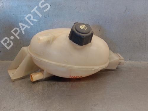 Expansion tank RENAULT MASTER III Van (FV) 2.3 dCi 125 FWD (FV0C, FV0D, FV0G, FV0H, FV0J, FV0K,... | BP30078703C120 