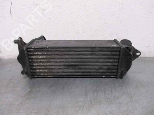 Ladeluftkühler ALFA ROMEO 166 (936_) 2.4 JTD (936A2A__) | BP2090168M30 