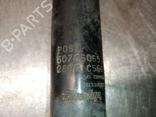 Right rear shock absorber FIAT PANDA (169_) 1.2 (169.AXB11, 169.AXB1A) | BP28419131M19 