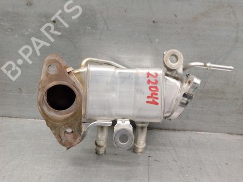 Egr RENAULT AUSTRAL TCe 130 | BP23243906M69 