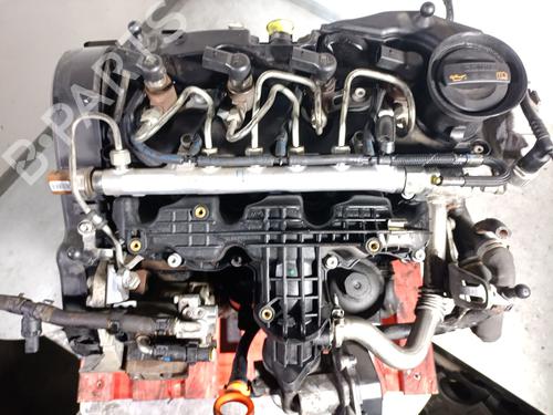 Engine SEAT IBIZA IV (6J5, 6P1) 1.6 TDI | BP32733056M1  - Image 6