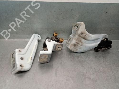 Used Hinge/Door check strap DACIA DOKKER MPV (KE_) 1.5 dCi (KEAJ, KEAH) (90 hp) 28539842