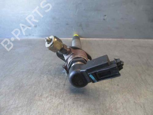 Injector LAND ROVER RANGE ROVER SPORT I (L320) 2.7 D 4x4 | BP6875090M100 