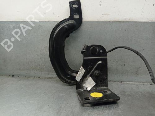 Hinge/Door check strap PEUGEOT 308 I (4A_, 4C_) 1.6 16V | BP21578967C146 