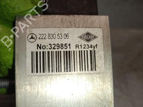 Electronic module MERCEDES-BENZ S-CLASS (W222, V222, X222) S 560 e (222.173) | BP31130863M83