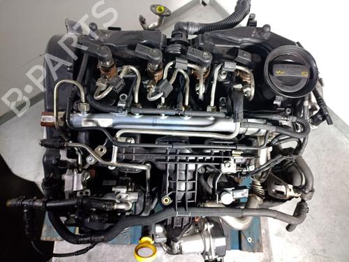 Engine SEAT IBIZA IV (6J5, 6P1) 1.6 TDI | BP33120890M1  - Image 6