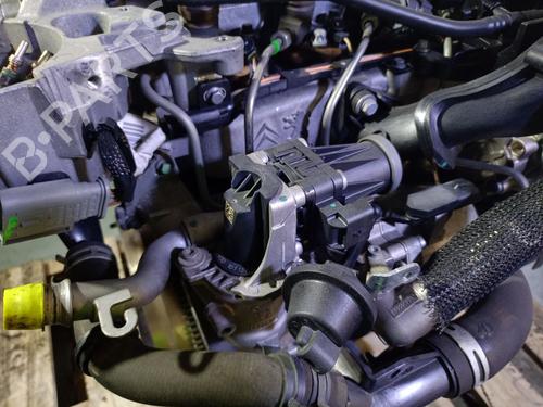 Engine FORD FIESTA VI (CB1, CCN) 1.6 TDCi | BP26493272M1 