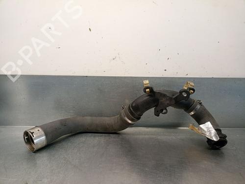 Pipe NISSAN JUKE (F15) 1.2 DIG-T | BP24448720M125 