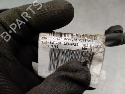 Vacuum pump CITROËN BERLINGO Box Body/MPV (K9) e-Berlingo | BP17363948M80 