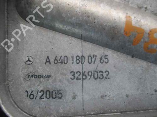 Oil radiator MERCEDES-BENZ B-CLASS Sports Tourer (W245) B 200 CDI (245.208) | BP20254145M33 