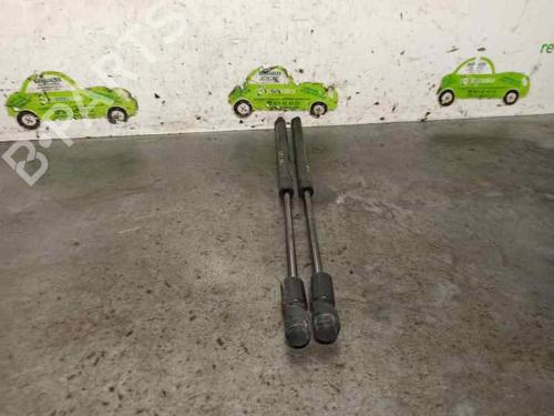 Tailgate lift support NISSAN MICRA III (K12) 1.2 16V | BP20254003C138 