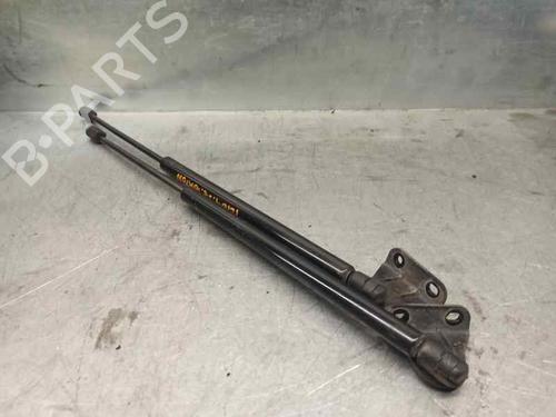 Tailgate lift support NISSAN QASHQAI I (J10, NJ10)  | BP20257087C138 