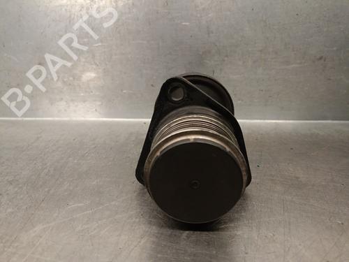 Pulley FORD TRANSIT CONNECT (P65_, P70_, P80_) 1.8 TDCi | BP28025567M122 