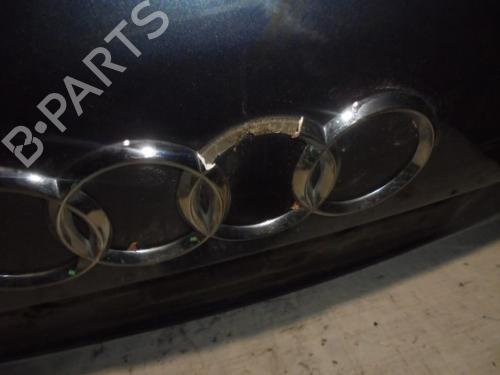 Bagklap CC/Kombi-Coupé AUDI A8 D3 (4E2, 4E8) 3.0 TDI quattro | BP10288014C6 