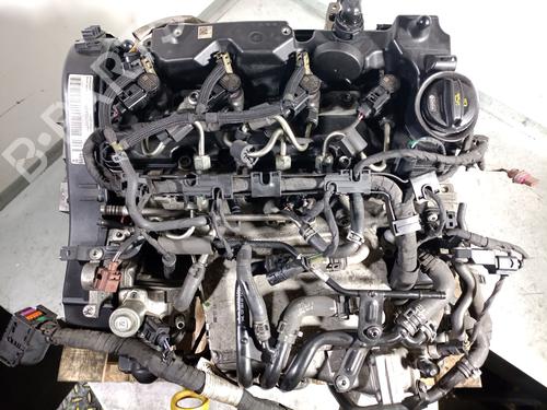 Engine SEAT LEON (5F1) 1.6 TDI | BP33048771M1  - Image 7