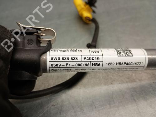 Electronic module AUDI A5 (F53, F5P) 2.0 TFSI | BP30053071M83 