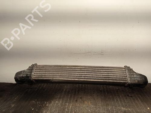 Intercooler MERCEDES-BENZ E-CLASS (W211)  | BP17438738M30 