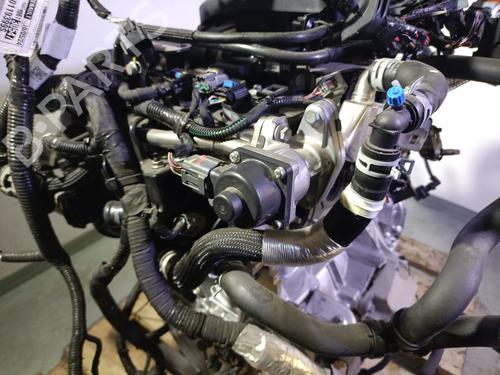 Engine RENAULT CLIO V (B7_) 1.6 E-TECH 140 (B7MU) | BP29943791M1