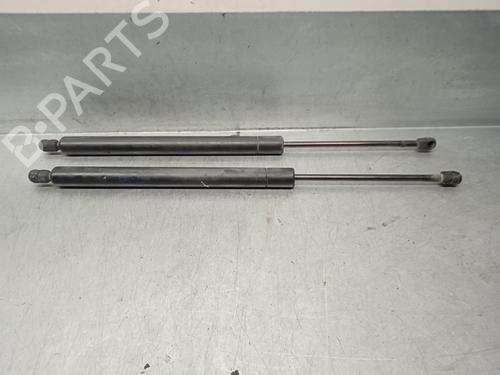 Tailgate lift support SEAT ALHAMBRA (7V8, 7V9) 1.9 TDI | BP20266601C138 